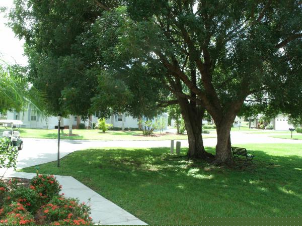 Pine Lakes Country Club19474 Rolling Hills Ct. #48KNorth Fort Myers, FL 33903