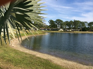 Lake Fairways Country Club19292 Green Valley Ct. #25JNorth Fort Myers, FL 33903