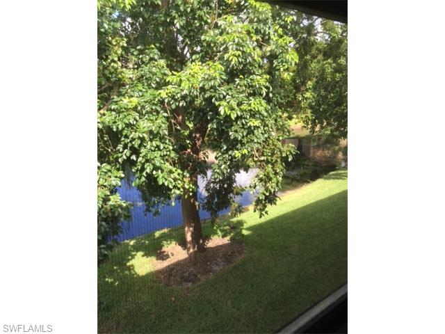 17424 Birchwood LN, Fort Myers, FL 33908