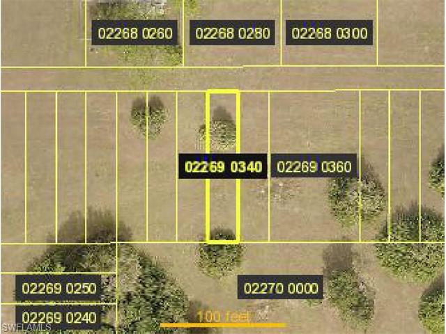 ACCESS UNDETERMINED NE, Cape Coral, FL 33909