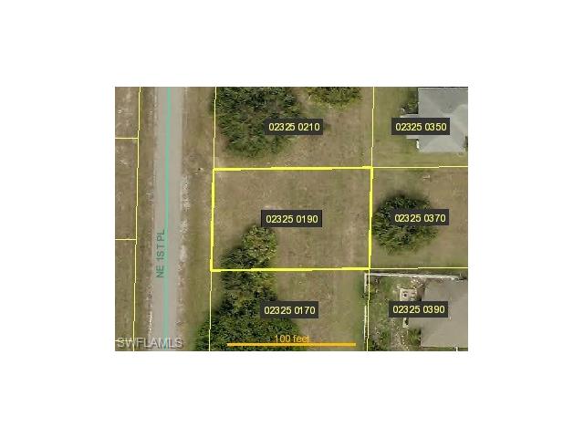 3013 NE 1st PL, Cape Coral, FL 33909