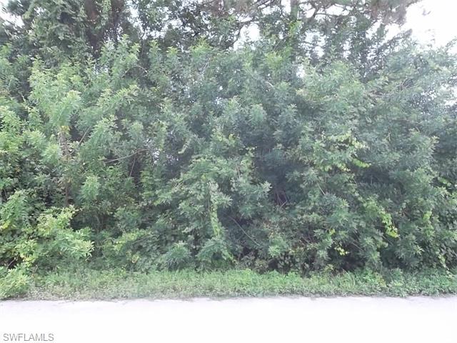 1508 NE 36th ST, Cape Coral, FL 33909
