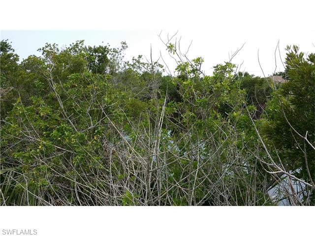 2704 SW 20th AVE, Cape Coral, FL 33914