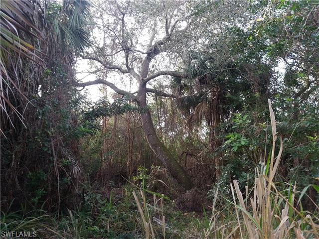 17170 Tarpon WAY, North Fort Myers, FL 33917