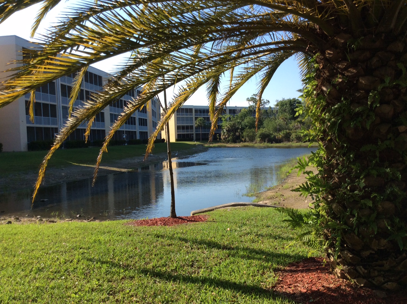 14801 Park Lake Dr. #302, Fort Myers, FL 33919