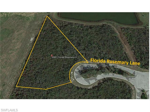 22901 Florida Rosemary LN, Alva, FL 33920