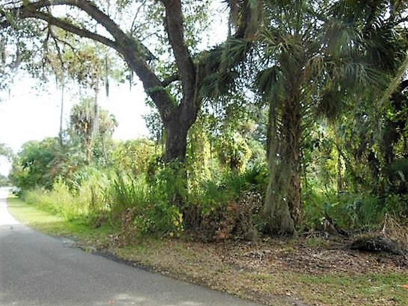 235 Euclid Place, Labelle, FL 33935