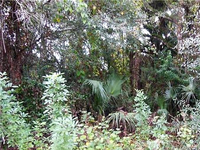 235 Euclid Place, Labelle, FL 33935
