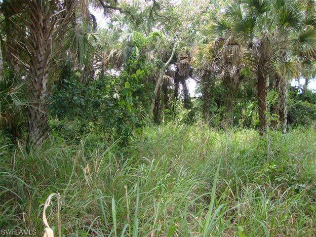 0 Belmont St Belmont ST, Labelle, FL 33935