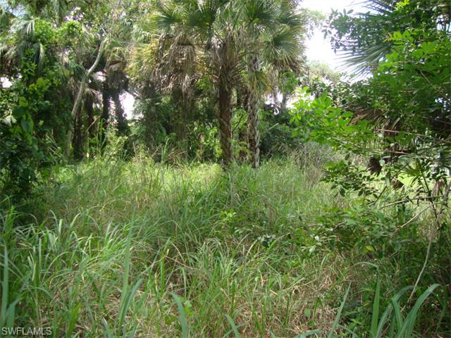 0 Belmont St Belmont ST, Labelle, FL 33935