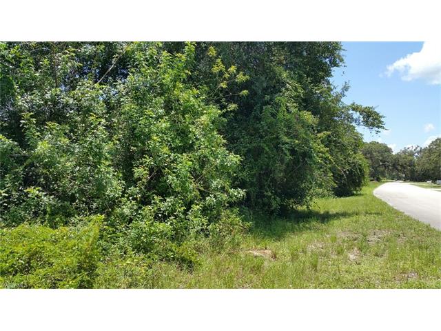 4045 Oak Haven DR, Labelle, FL 33935