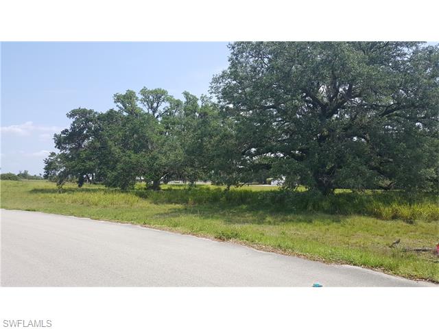 4010 Oak Haven DR, Labelle, FL 33935
