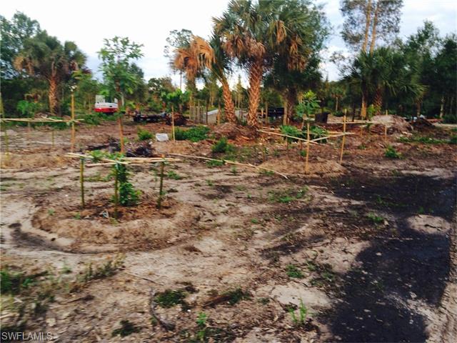 733 F RD, Labelle, FL 33935