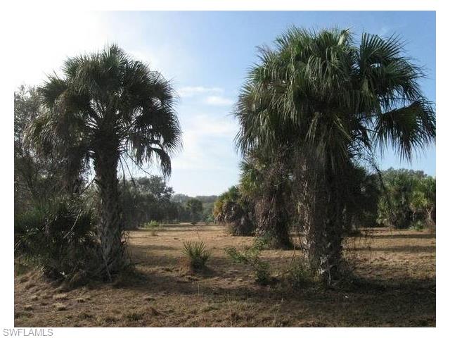 16280 Pueblo CT, Labelle, FL 33935