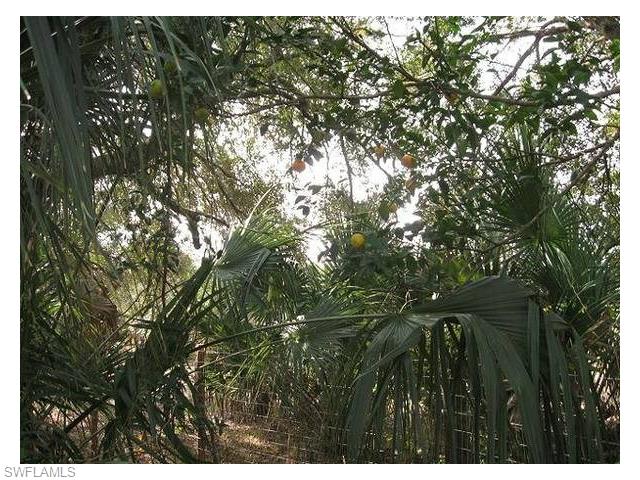 16280 Pueblo CT, Labelle, FL 33935