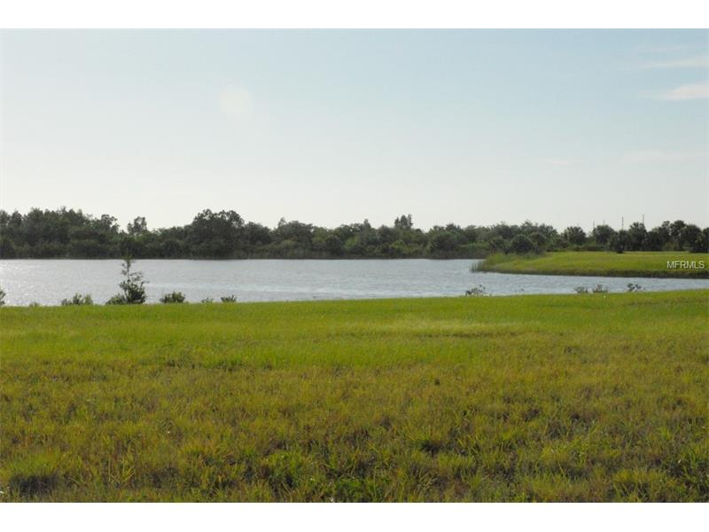 11959 RONDO DRIVE, Placida, FL 33946
