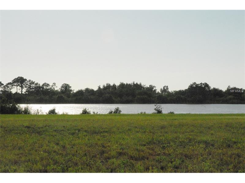 11959 RONDO DRIVE, Placida, FL 33946