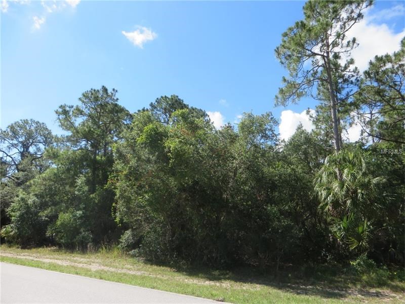 17168 WINTERGARDEN AVENUE, Port Charlotte, FL 33948