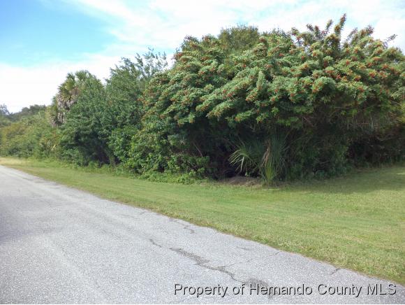 18048 WING AVE., Other , FL 33948