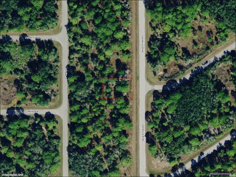 1331 CORNELIUS BOULEVARD, Port Charlotte, FL 33953