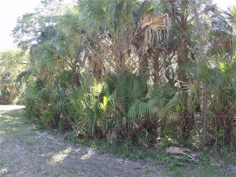 13414 PEBBLE AVENUE, Port Charlotte, FL 33953