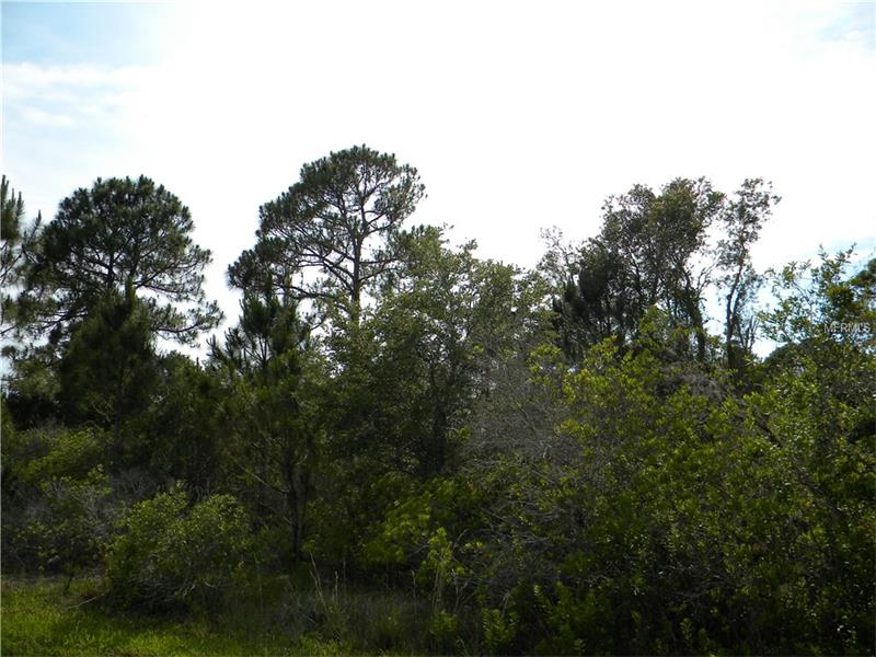 177 BISCAYNE DRIVE, Port Charlotte, FL 33953