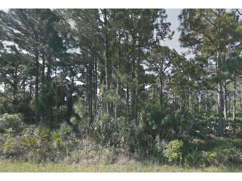 13489 Bender Ave, Port Charlotte, FL 33953