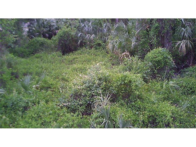 18125 DICKENS AVENUE, Port Charlotte, FL 33954