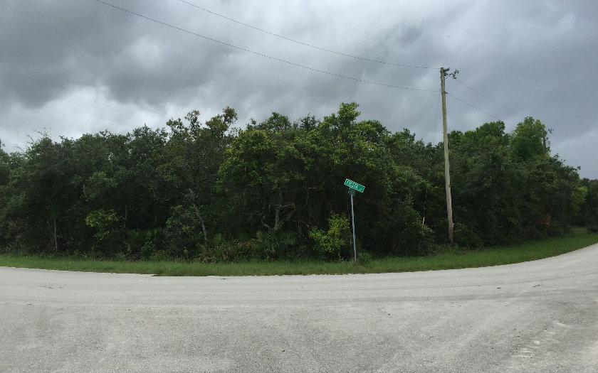 97 RECREATION DR, Venus, FL 33960