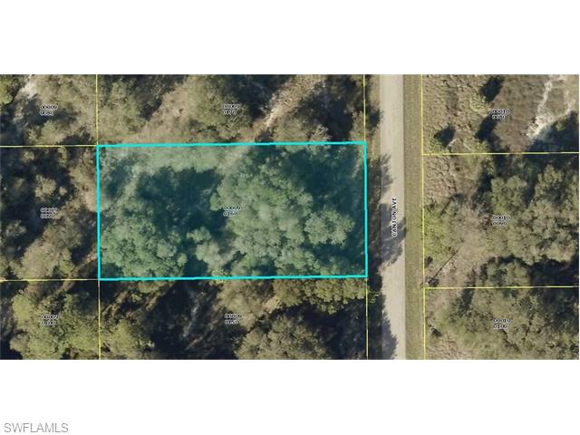 1607 Canton AVE, Lehigh Acres, FL 33972