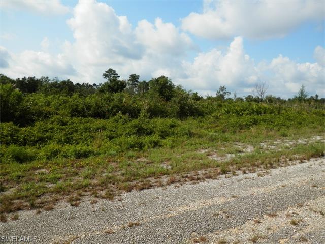 1950 Leghorn ST, Lehigh Acres, FL 33972