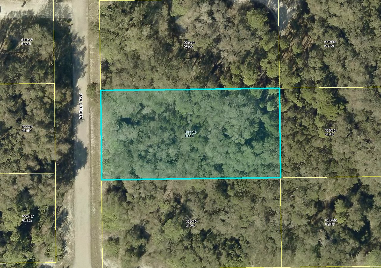 1902 Robert Ave., Lehigh Acres, FL 33974