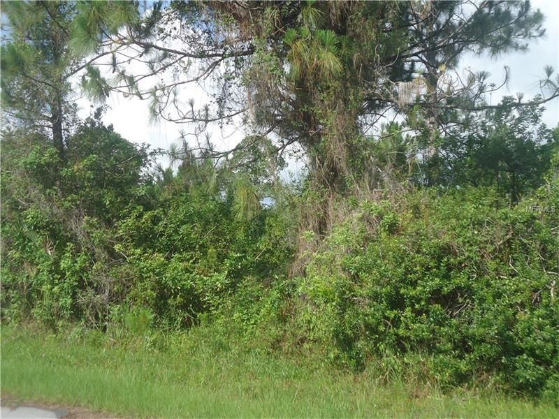 3111 DWYER STREET, Port Charlotte, FL 33981