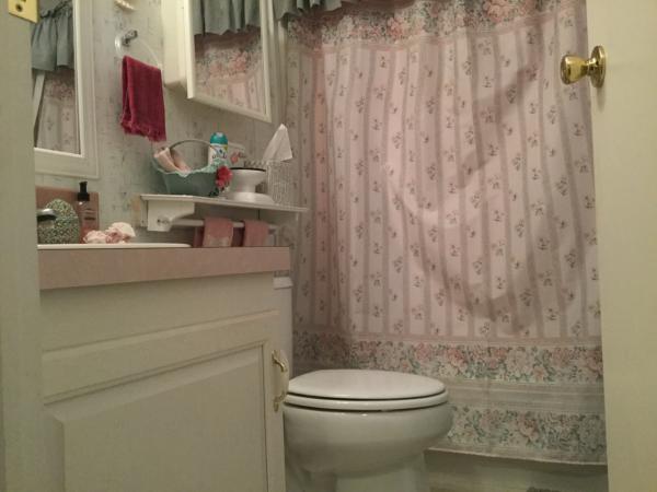 27205 Jones Loop Rd. Lot# 91 ,FL, Punta Gorda, 33982