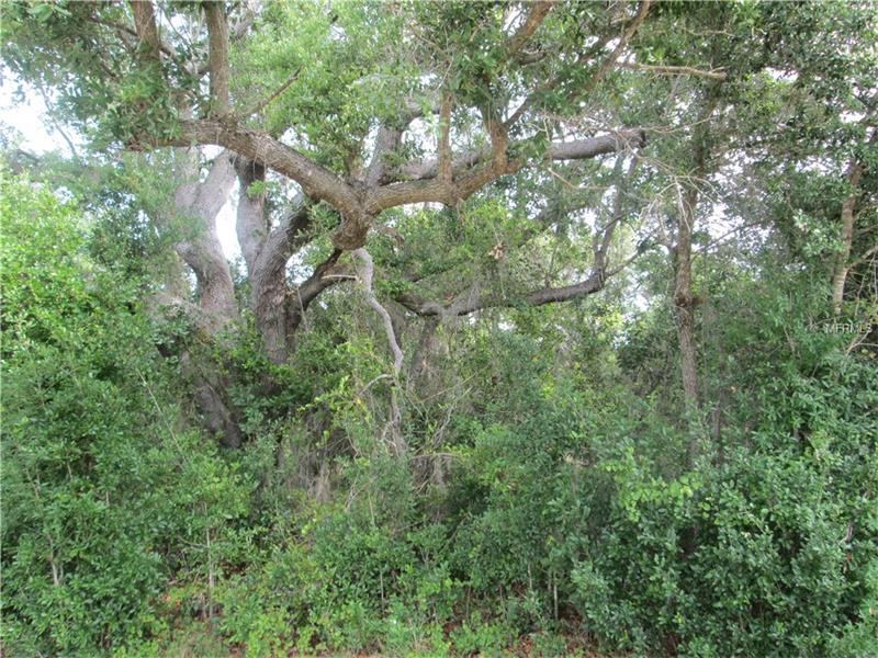 29244,29252 BOYCE ROAD, Punta Gorda, FL 33982