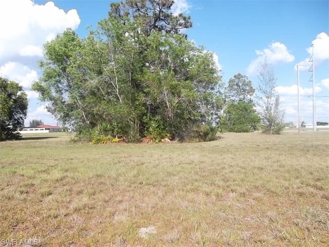 1629 NW Juanita PL, Cape Coral, FL 33993