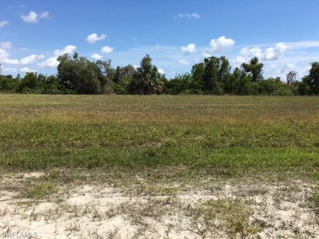 2910 NW 6th Ter, Cape Coral, FL 33993