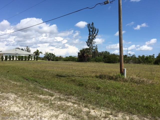 2910 NW 6th Ter, Cape Coral, FL 33993