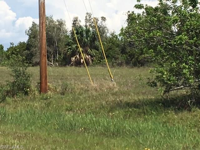 2910 NW 6th Ter, Cape Coral, FL 33993