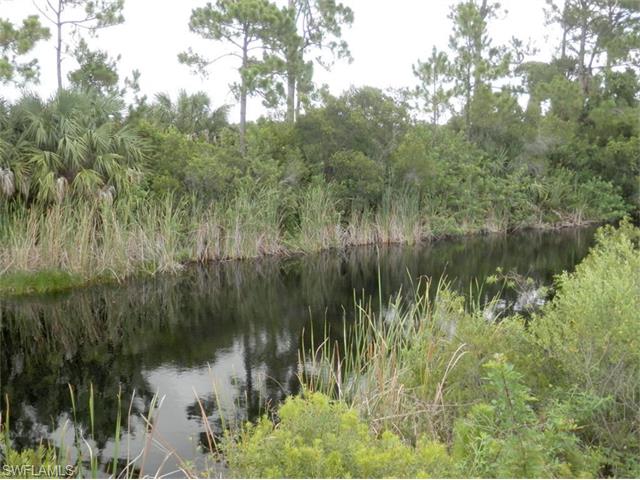 3920 NW 35th AVE, Cape Coral, FL 33993