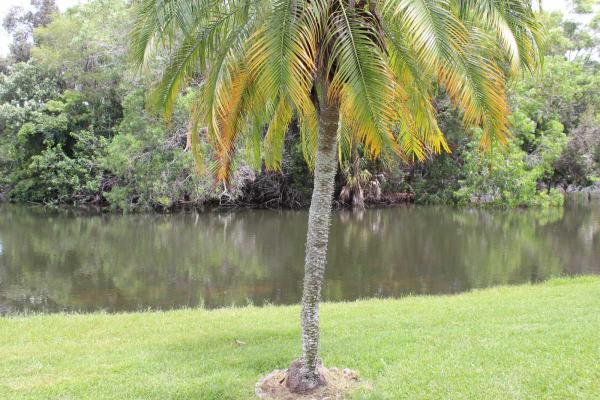 Landmark Naples1023 Concord CTNaples, FL 34110