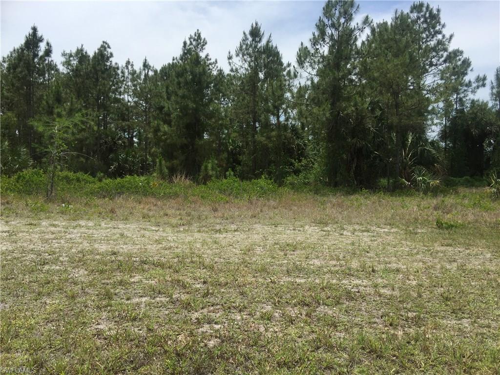 Randall Blvd, Naples, FL 34120
