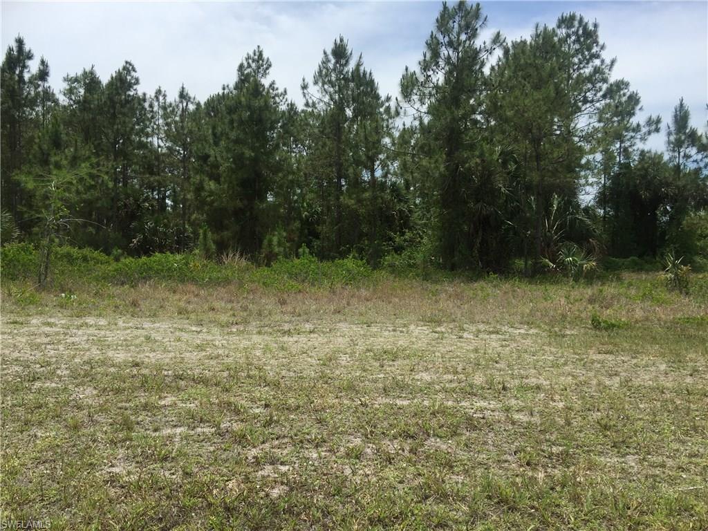 Randall Blvd, Naples, FL 34120