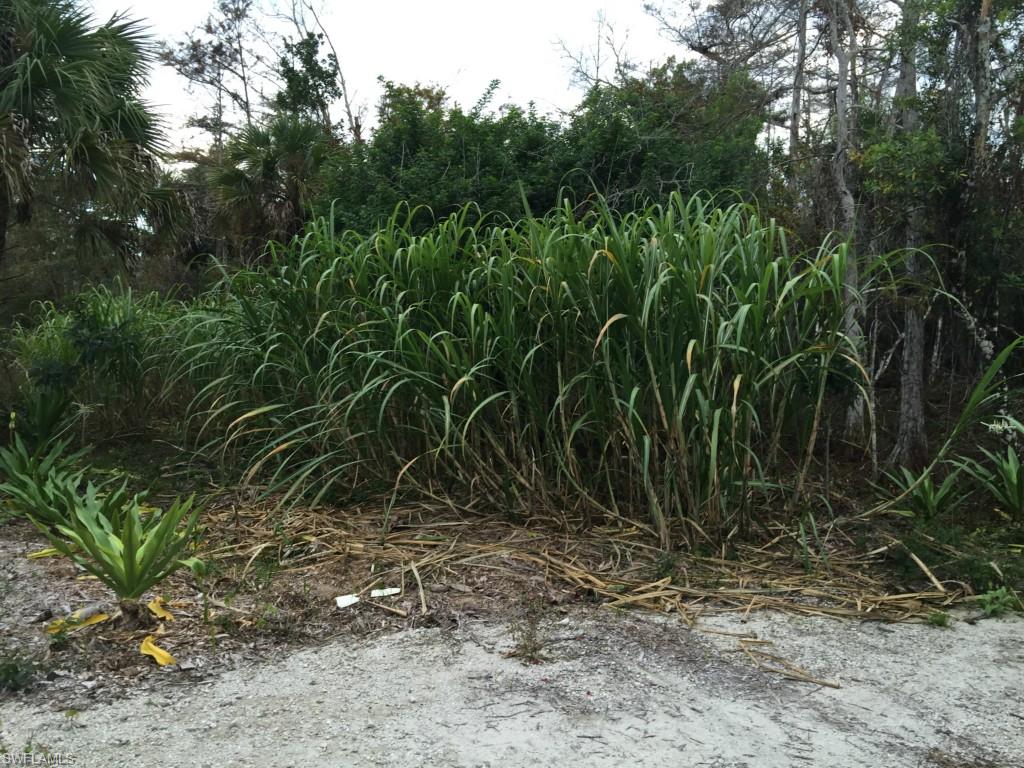 481 7th St Nw, Naples, FL 34120