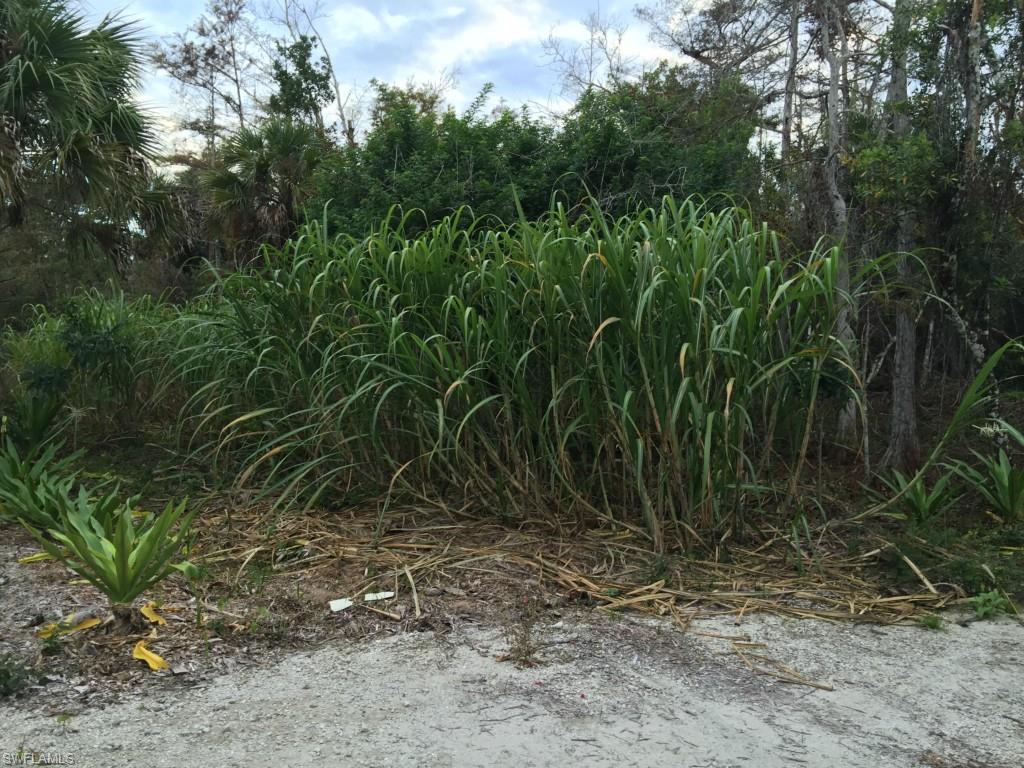 481 7th St Nw, Naples, FL 34120