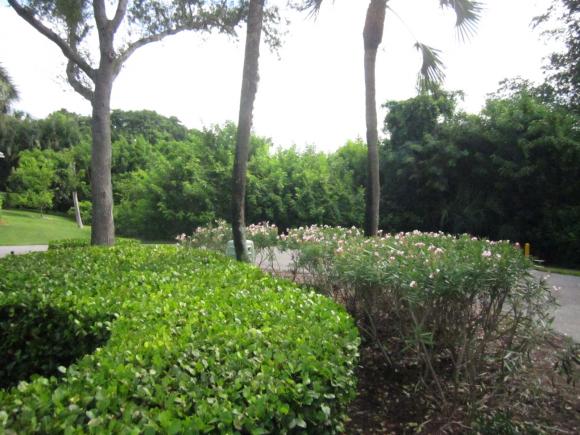 394 RED BAY, Marco Island, FL 34145