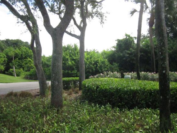 394 RED BAY, Marco Island, FL 34145