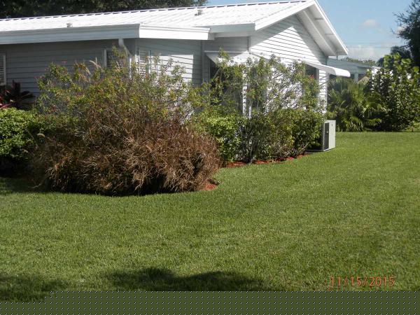 Gold Tree 5707 45th Street East Lot # 115Bradenton, FL 34203