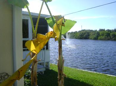Waterside Club4432 Cabana LNBradenton, FL 34207