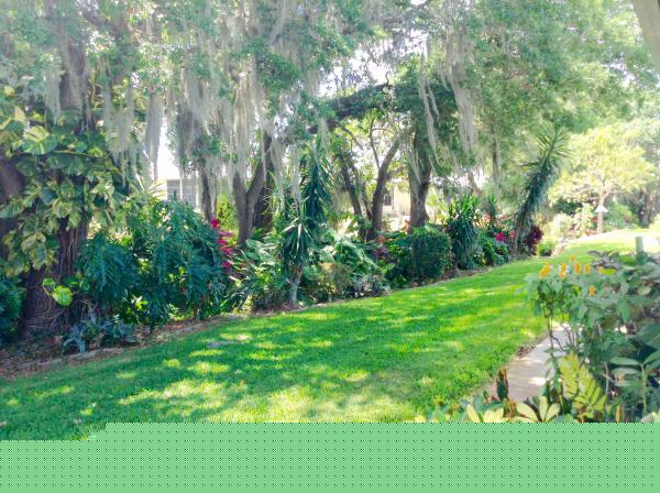 The Gardens225 Bougainvillea LaneParrish, FL 34219
